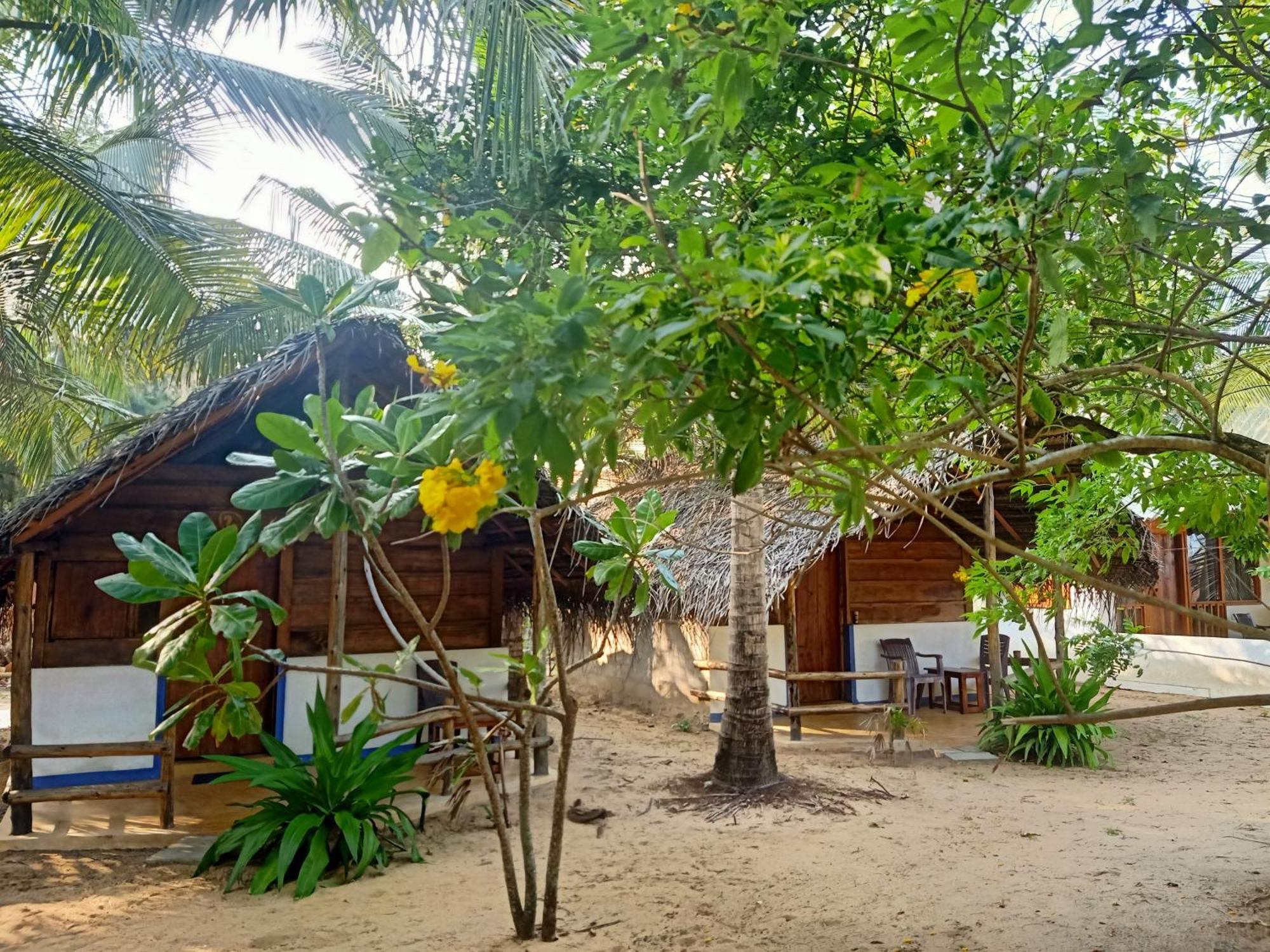 Sand Dune Beach Resort & Surf Camp 아루감 베이 외부 사진