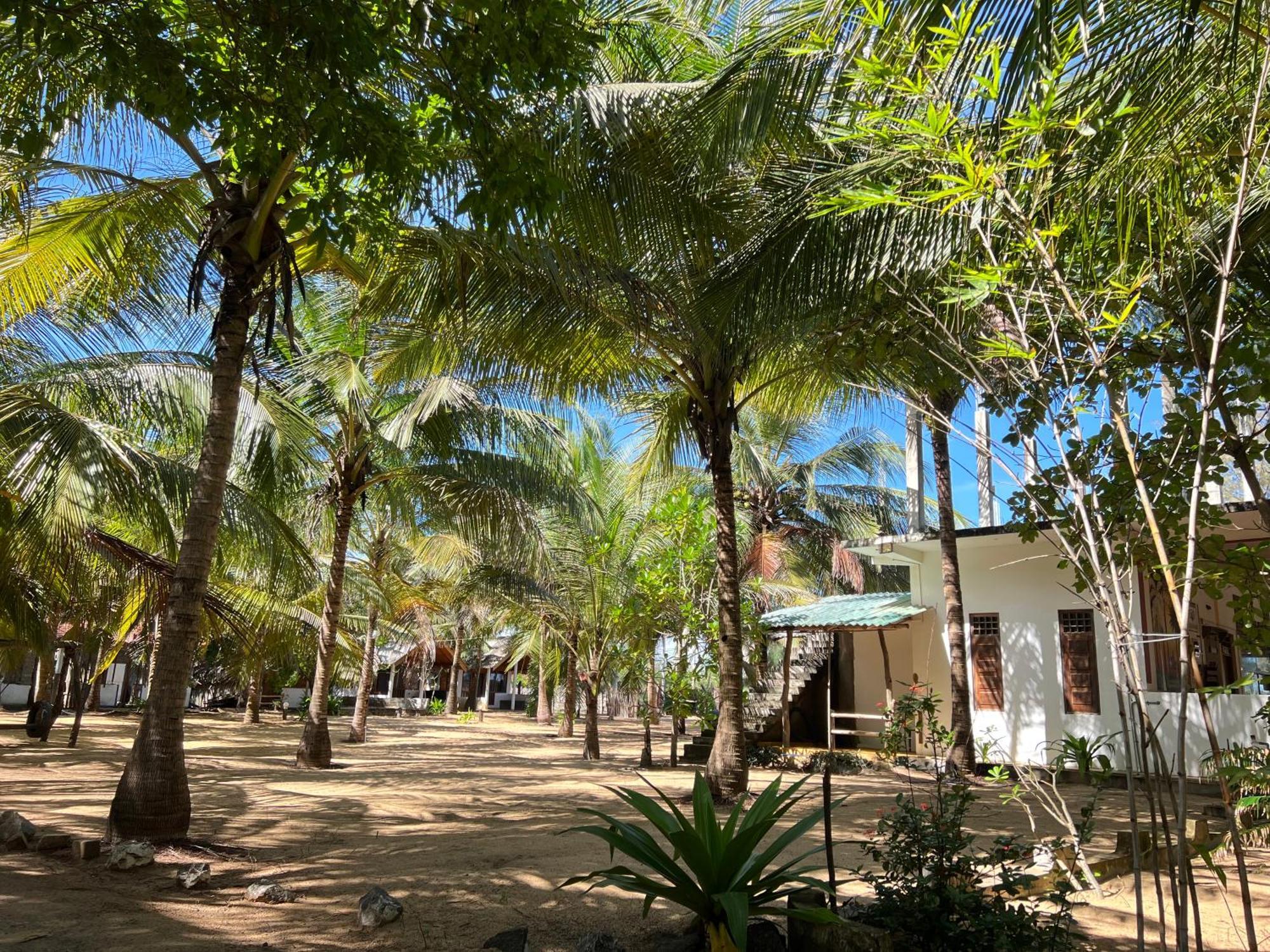 Sand Dune Beach Resort & Surf Camp 아루감 베이 외부 사진