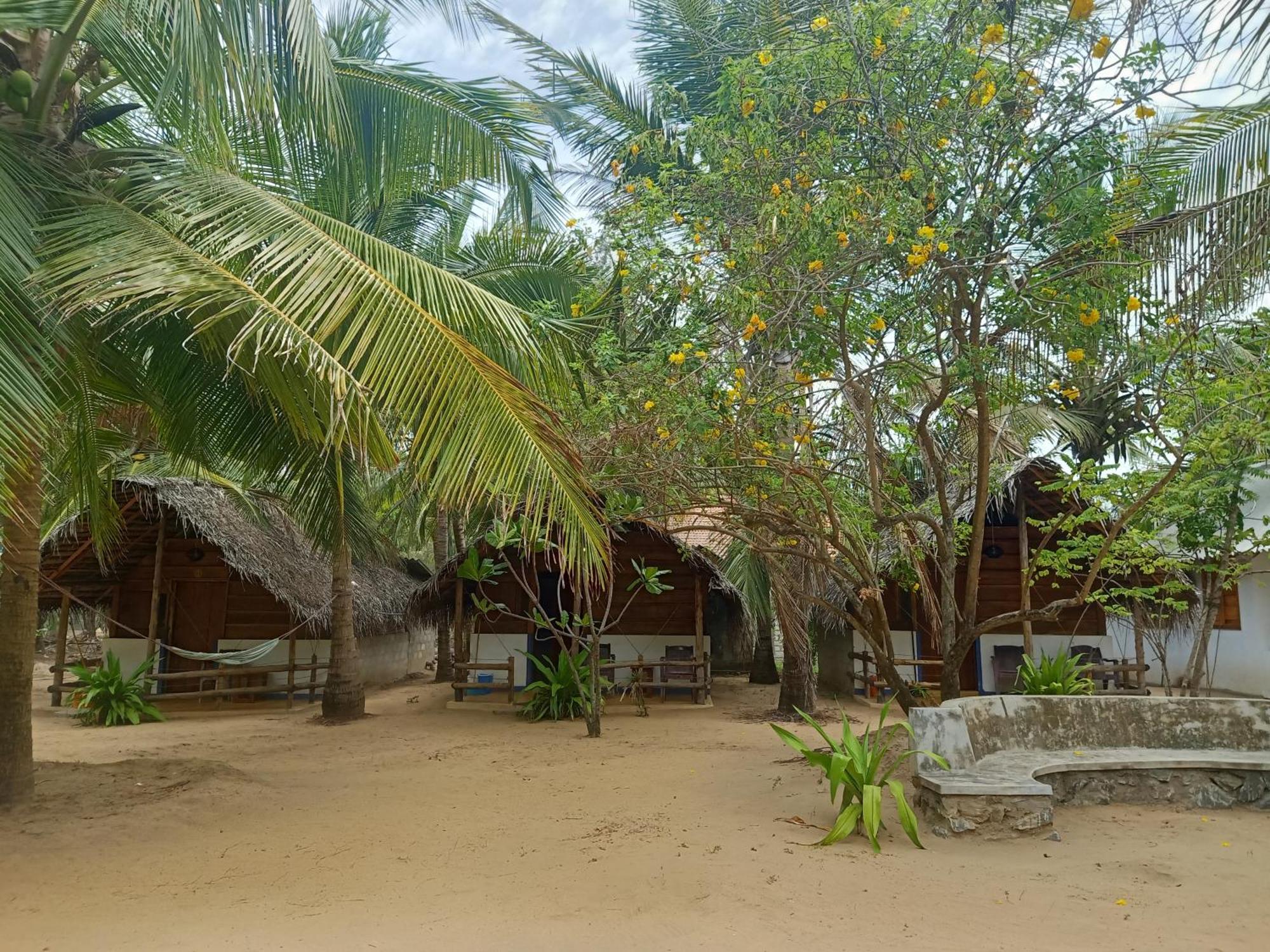 Sand Dune Beach Resort & Surf Camp 아루감 베이 외부 사진