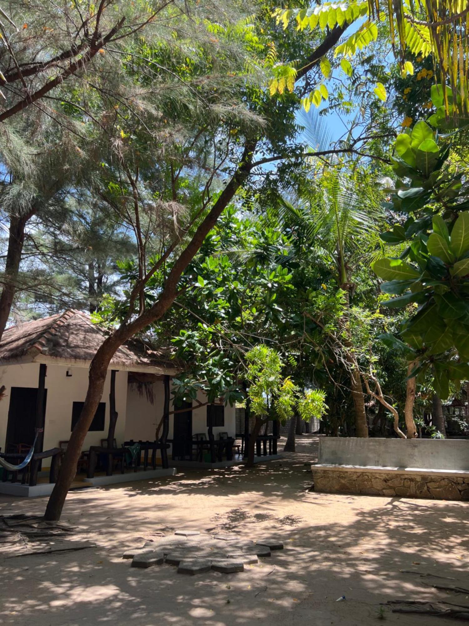Sand Dune Beach Resort & Surf Camp 아루감 베이 외부 사진
